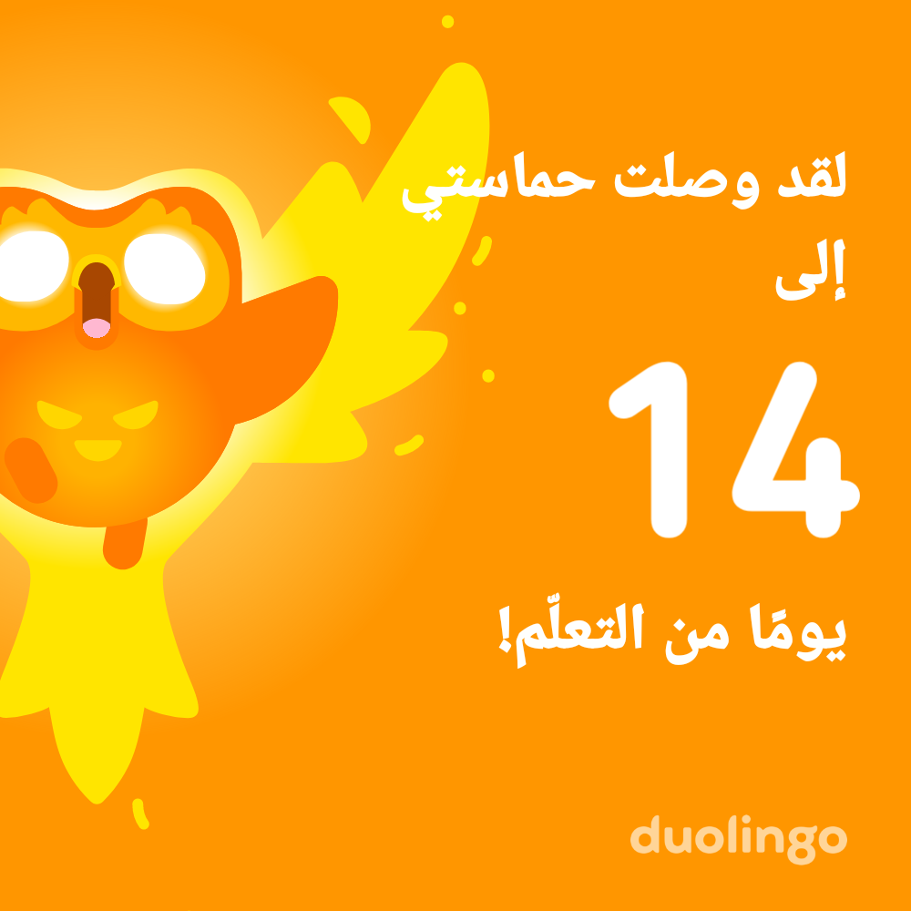 ساجد براق  الباشا